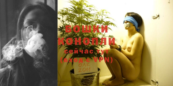 винт Белокуриха