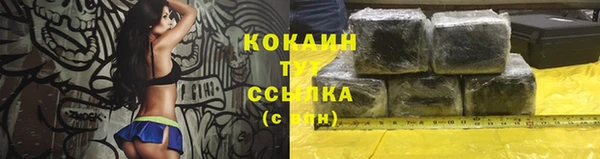стаф Семилуки