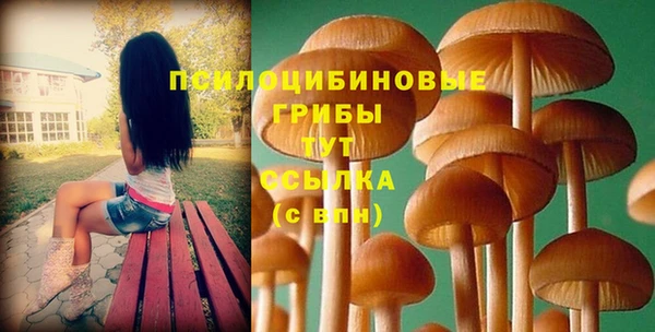 винт Белокуриха