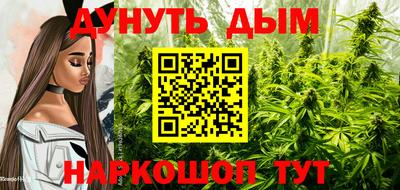 прущие грибы Ртищево