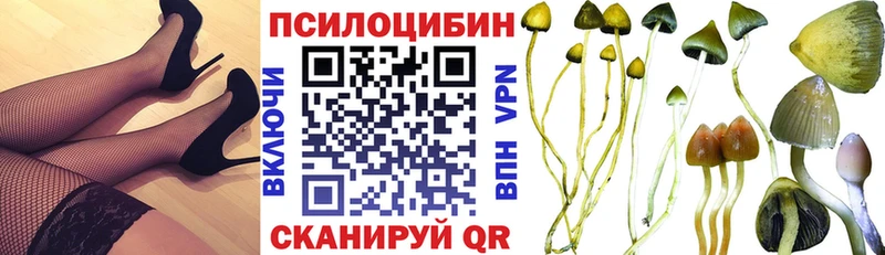 Псилоцибиновые грибы мухоморы  как найти закладки  Вятские Поляны 