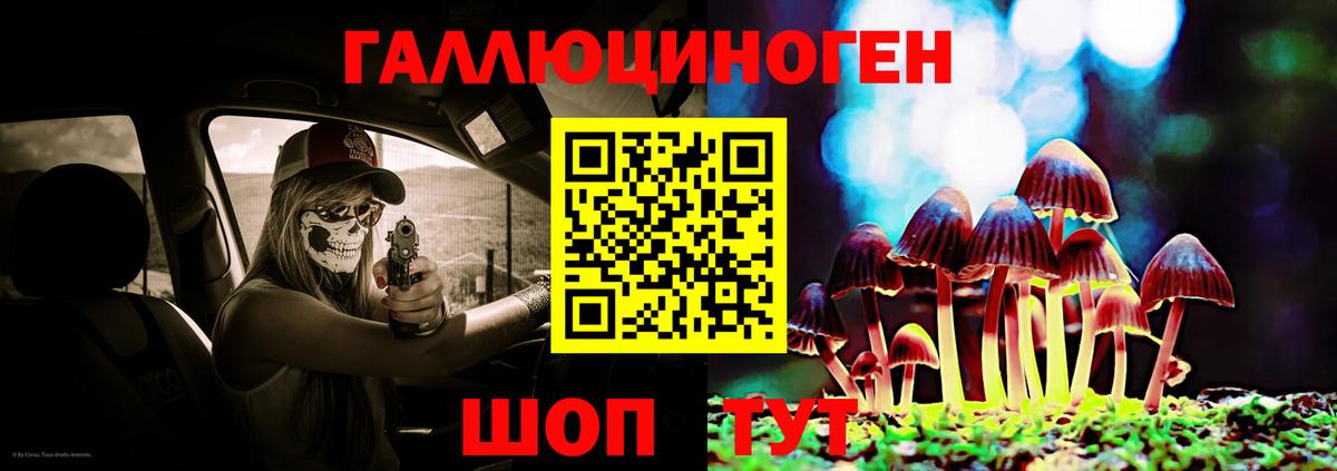 Псилоцибиновые грибы Magic Shrooms  Вход с VPN  Вятские Поляны 